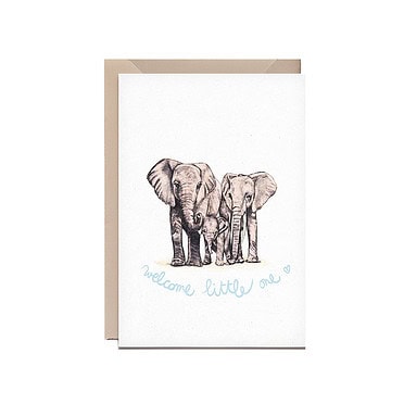 Kathings elephant family