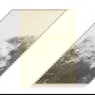 Ted & Tone poster Fog