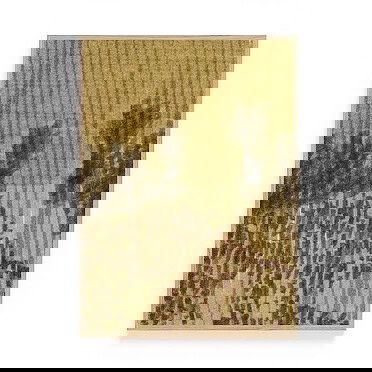 Ted & Tone poster Goldenhour