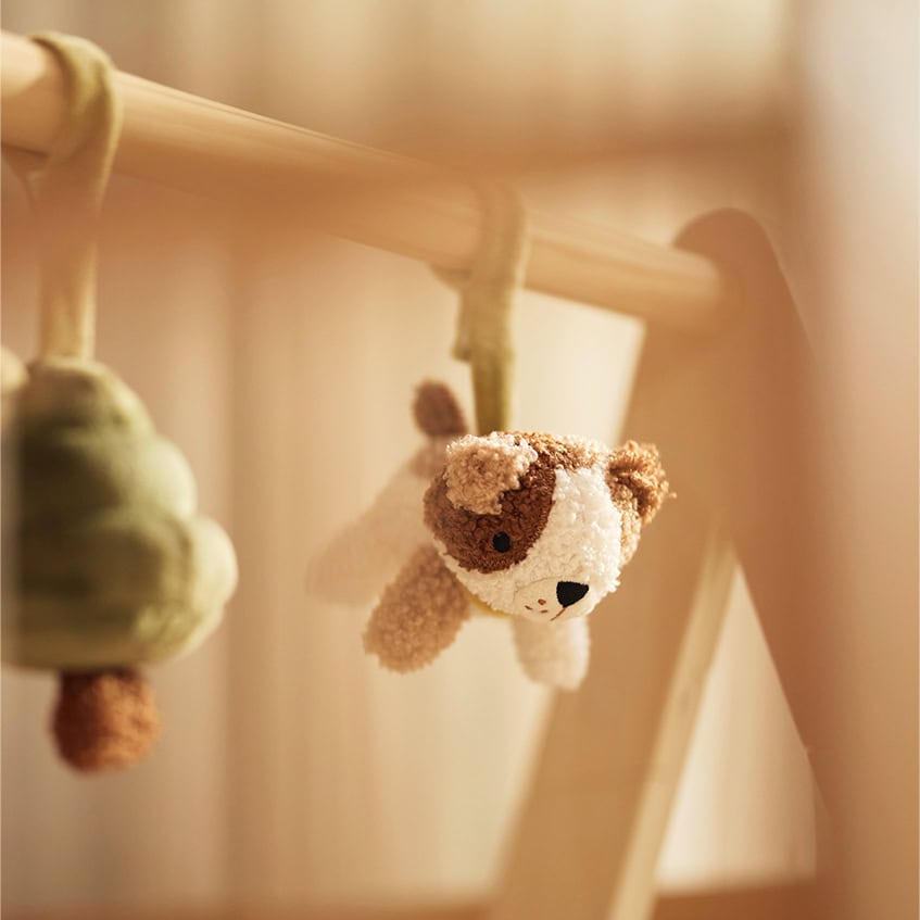 Jollein babygym speeltjes Tiny Park