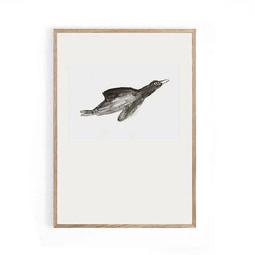 Ted and Tone poster Bird