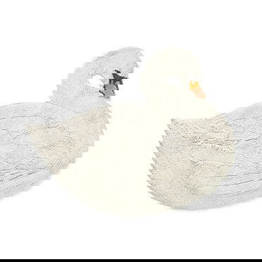 Lorena Canals wasbaar vloerkleed - Swan