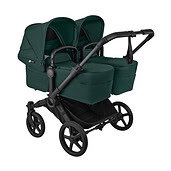 Black/Fern Green