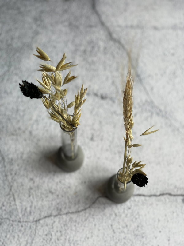 Betonnen vaasjes met reageerbuis & droogbloemen