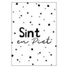 Ansichtkaart - Sint en Piet - Wit Ansichtkaart - Sint en Piet - Wit